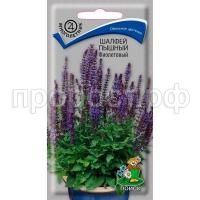 С171630_0 С171630_0