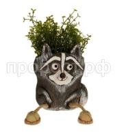 енотик енотик