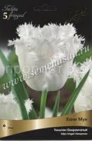 Тюльпан Бахромчатый Ханимун (белый, 10шт, 11-12) 725005