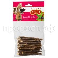 25548-little-one-currant-branches_68-700x700