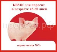 бвмк поросята 45-60 бвмк поросята 45-60