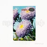 Астра Помпонная Посейдон светло-синяя 20 0,7 Каприс Астра Помпонная Посейдон светло-синяя 20 0,7 Каприс