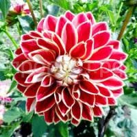 Без названия (1)