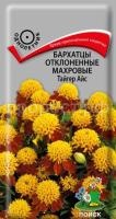 Бархатцы отклоненные махровые Тайгер Айс Бархатцы отклоненные махровые Тайгер Айс