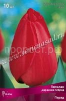 Тюльпан Дарвинов гибрид Парад (красный, 10шт, 11-12) 530748
