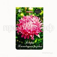 Астра Пионовидная Даная розовая 200,5 Каприс Астра Пионовидная Даная розовая 200,5 Каприс