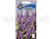 Агастахе Виват Синий 10шт Агастахе Виват Синий 10шт