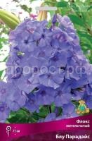 Флокс метельчатый Блу Парадайз