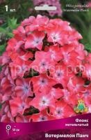 Флокс метельчатый Вотермелон Панч