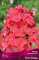 Флокс метельчатый Юник Ориндж