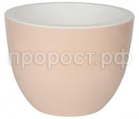 орион пудра