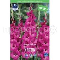 Без названия (1)