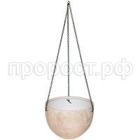 кейсел кейсел