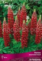 люпин зе пейджиз