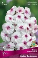 Флокс метельчатый Майкс Фейворит
