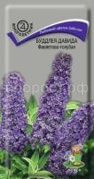 Буддлея Давида Фиолетово-голубая Буддлея Давида Фиолетово-голубая