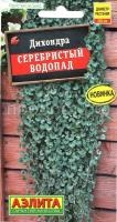 дихондра серебристый водопад1jpg дихондра серебристый водопад1jpg