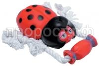 00-00095955 00-00095955