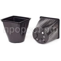 73947_middle 73947_middle