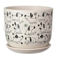 Собаки белый бук Собаки белый бук