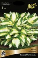 Хоста гибридная Колор Фестиваль