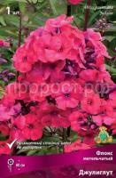 Флокс метельчатый Джулиглут (1)