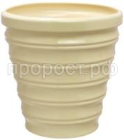 Бамбук Бамбук