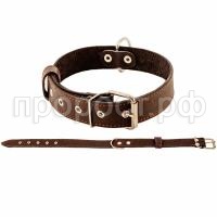 З208297_1 З208297_1