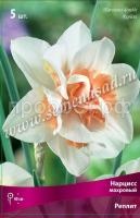 Нарцисс Реплит