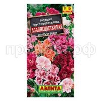 1107d6ff994ea8541db051b3e1b485dc 1107d6ff994ea8541db051b3e1b485dc