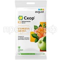 Скор Август пакет