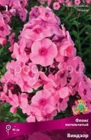 Флокс метельчатый Виндзор