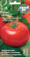 непас гигант непас гигант