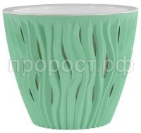 мята  11 мята  11