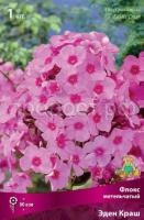 Флокс метельчатый Эден Краш