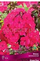 Флокс метельчатый Юник Ред