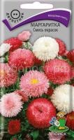 Маргаритка Смесь окрасок Маргаритка Смесь окрасок