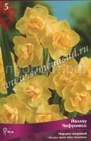 Нарцисс Йеллоу Чифулнесс Нарцисс Йеллоу Чифулнесс