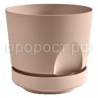 Тренд фраппе КШ 4099