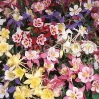 Без названия (13) Без названия (13)