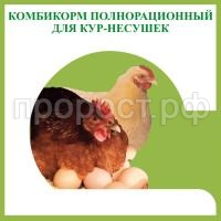 КОМБИКОРМ НЕСУШКА КОМБИКОРМ НЕСУШКА