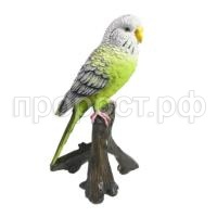 зеленый попугай зеленый попугай