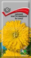 Цинния кактусовидная Бог солнца Цинния кактусовидная Бог солнца
