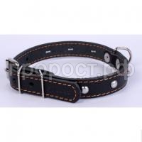 collar-oshejnik-s-ukrasheniyami-kozha