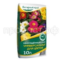 янтарный край