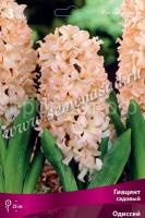 Гиацинт Одиссей