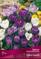 Крокус Смесь Сортов