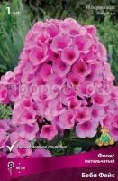 Флокс метельчатый Беби Фейс