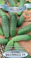 ogurec_express ogurec_express