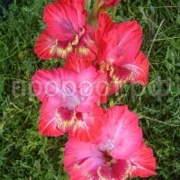 2fd770a6dc6dd06f0e975abaeb21fefd